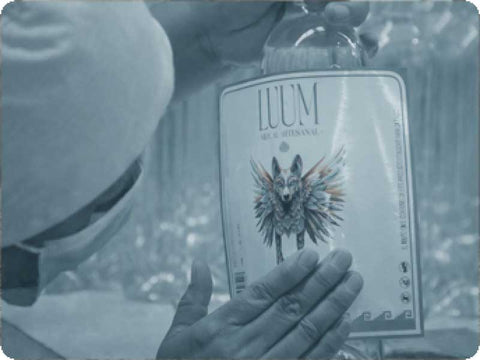 El recorrido del mezcal LUUM